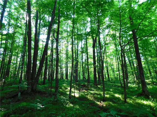 80 Acres off of County Road O, Ogema, WI 54459