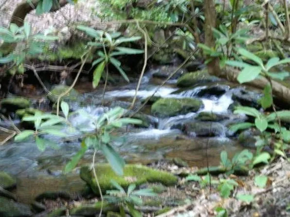 1528 Creek Rd, Hiawassee, GA 30546