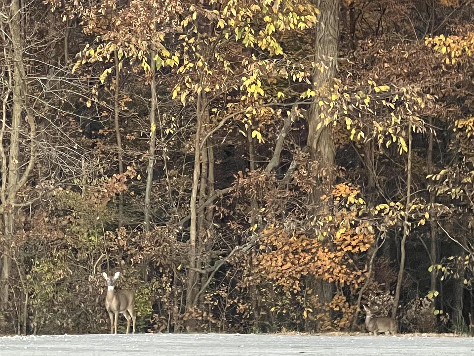 2nd image of E Hill Park Dr