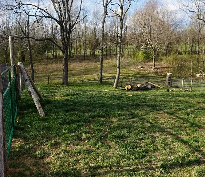 Fenced dog run.
