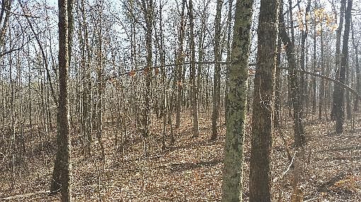 2nd image of 108 Hanging Limb Hwy