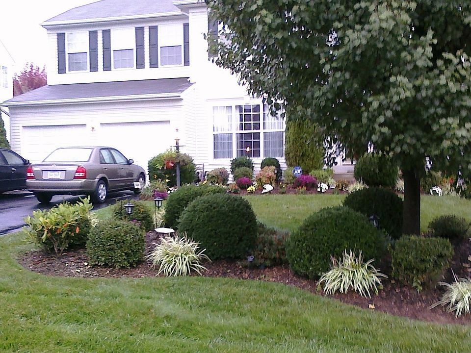 front view #2
