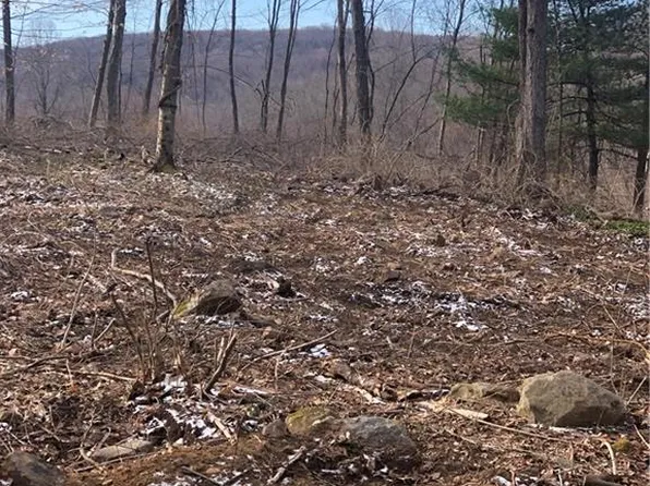 lot 16 Krodel Road, Naugatuck, CT 06770