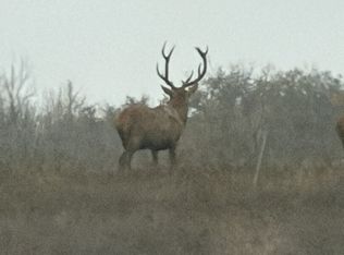 1 Utopia Forest LOT 1, Dhanis, TX 78850