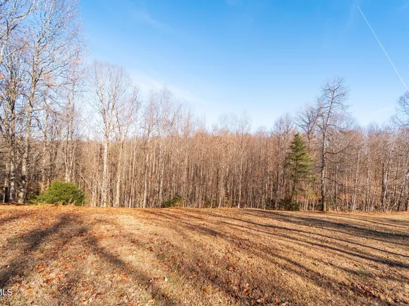 Tbd Allison Timbers Rd, Piney Flats, TN 37686