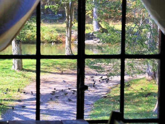 side window view