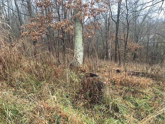 4th image of 20423 Rosemeade Dr