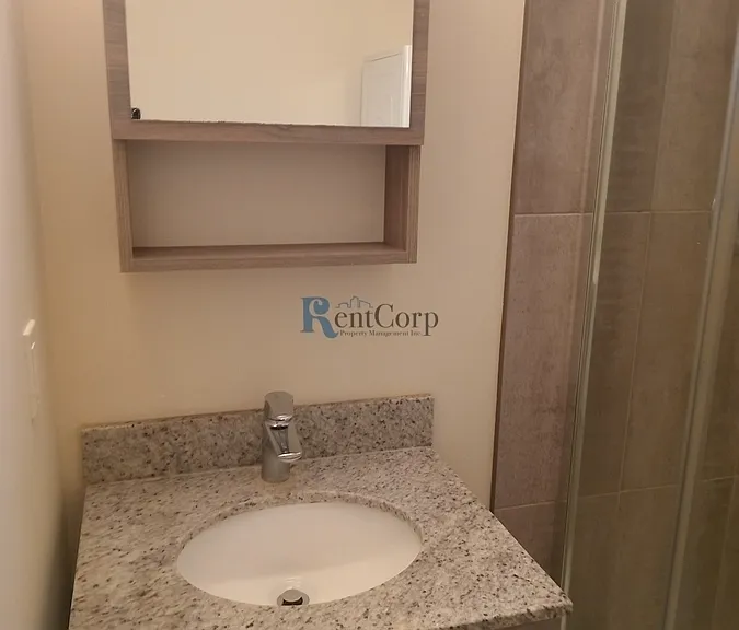 257-1 Hemlock St #523 — Photo 8