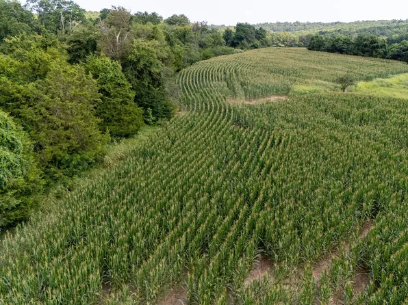 0 Shiloh Rd, Cobden, IL 62920