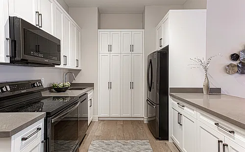 Floor plan 1 Bedroom + Den
