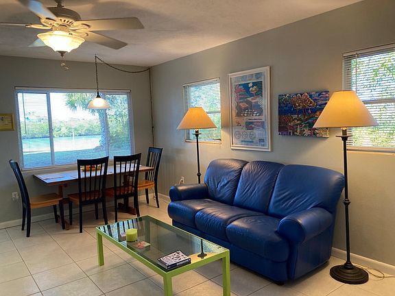 Look for dolphin out your back window.