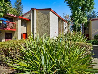 16 Redwood Court, Santa Rosa, CA, 95409