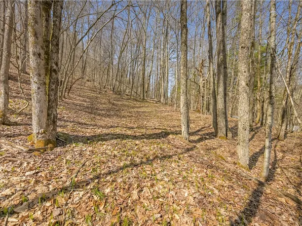 L9113 Lutheranville Rd, East Worcester, NY 12064