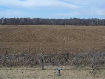 2nd image of 135 Bald Eagle Run