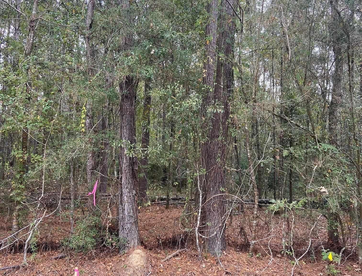 Lewis Rd LOT RL2, Maurepas, LA 70449 Zillow