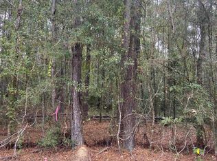 Lewis Rd, Maurepas, LA 70449