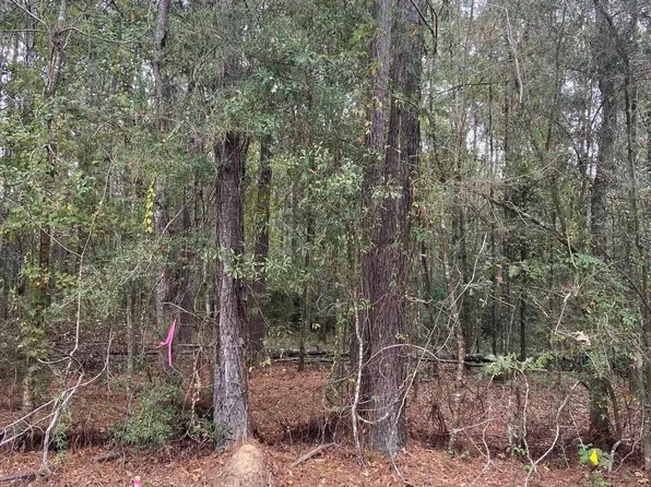 Lewis Rd, Maurepas, LA 70449