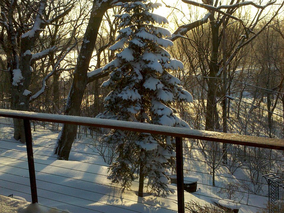 East view Lake Valentine