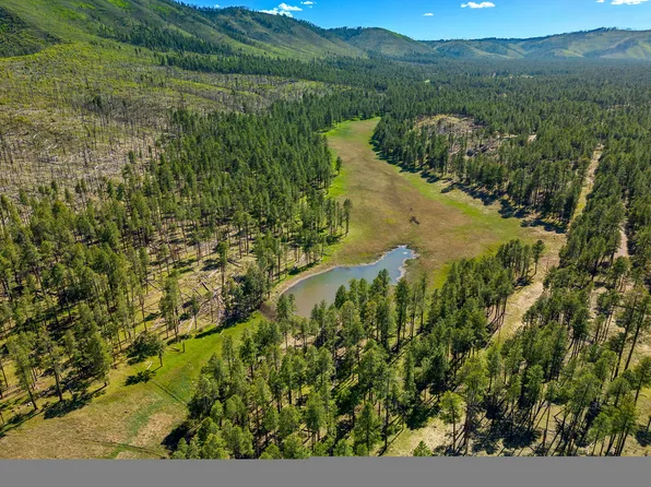 20239 Red Hill Rd, Blue, AZ 85922