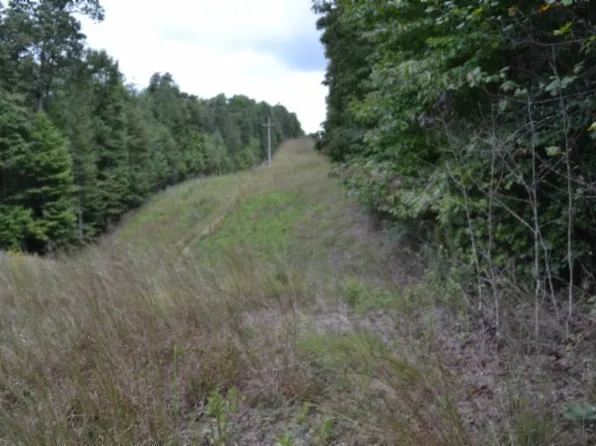 0 Zizka Dr, Sparta, TN 38583
