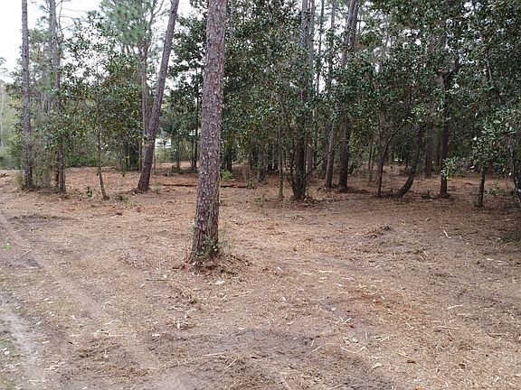 5th image of LOT 10 Baldwin St
