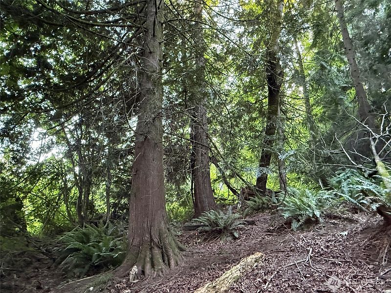 3rd image of 767 West Road