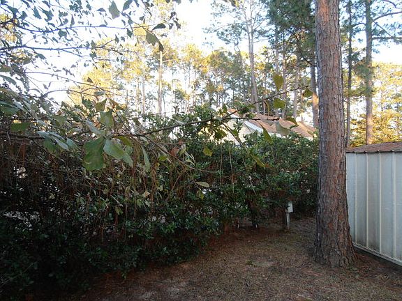 5th image of 520 Escambia Cir