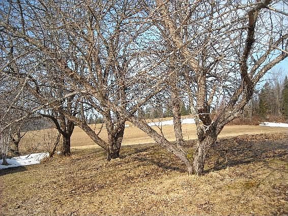 2nd image of 3991 E Hill Rd