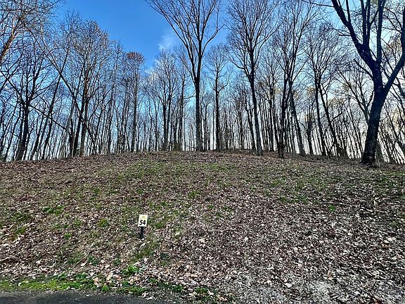 4th image of 54 Bears Paw Dr