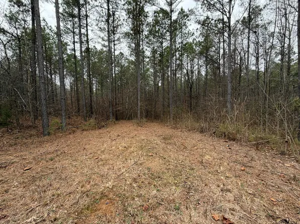 4 Bartlett Rd Lot 4, Reagan, TN 38368