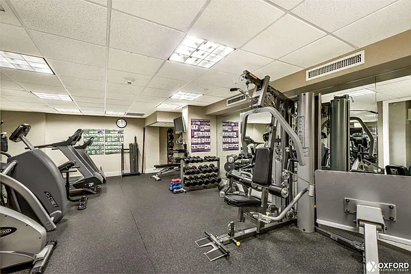 Rented by Oxford Property Group | media 42