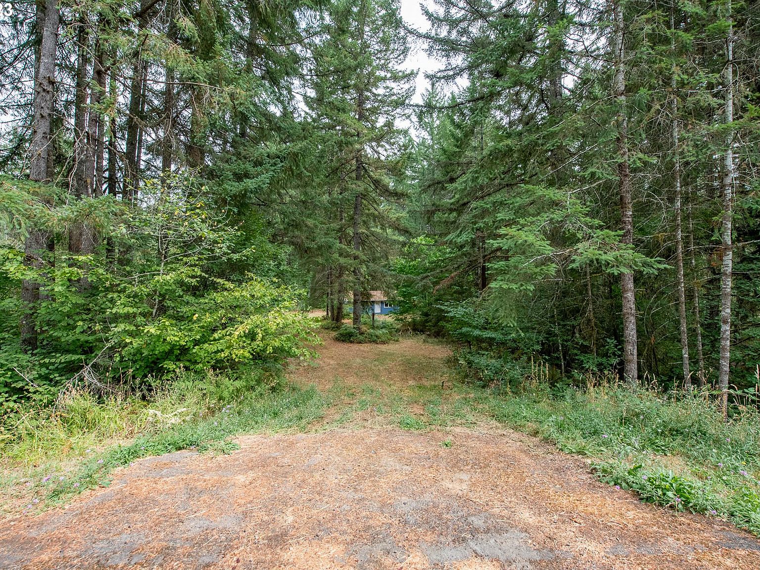 91131 Poodle Creek Rd, Noti, OR 97461 MLS 23216654 Zillow