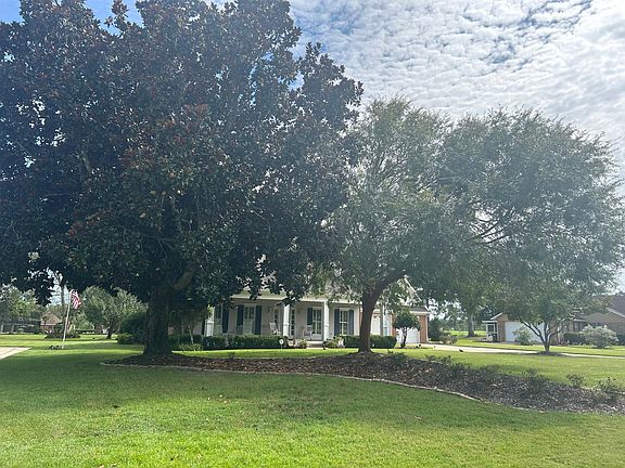front view from street though the trees in front