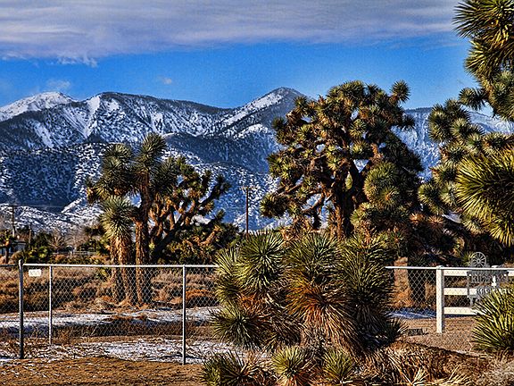 View from Front window