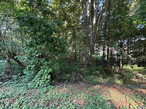 4th image of LOT 38 Creek Path Browns Valley Rd
