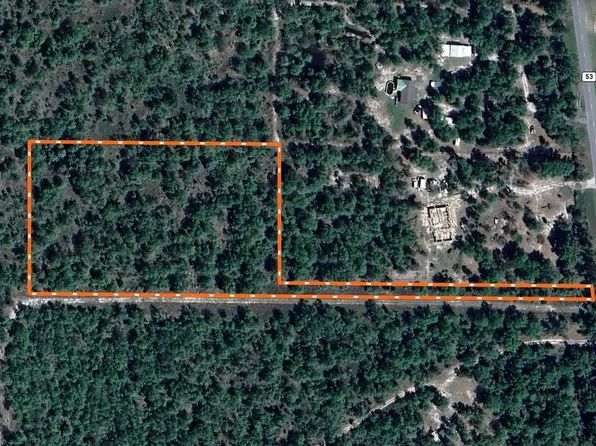 Vacant S Cr 53, Lee, FL 32059