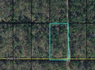 X James St, Hastings, FL 32145