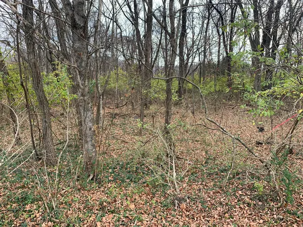 0 Rabbit Run, Buchanan, VA 24066