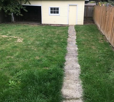 Back yard and storage shed
