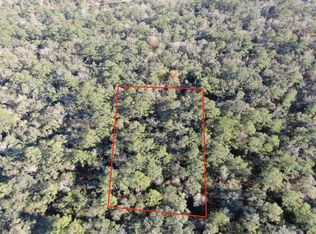 Vacant Nw Fox Run Trl, Mayo, FL 32066