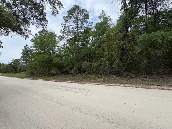 SW Southwest Daisy Rd, Lake City, FL 32024