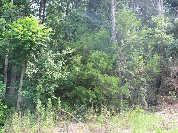 0 County Road 738, Cullman, AL 35055