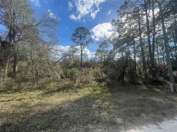 Butternut Dr #2, Webster, FL 33597