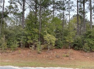 11299 N Bunny Ter, Citrus Springs, FL 34434