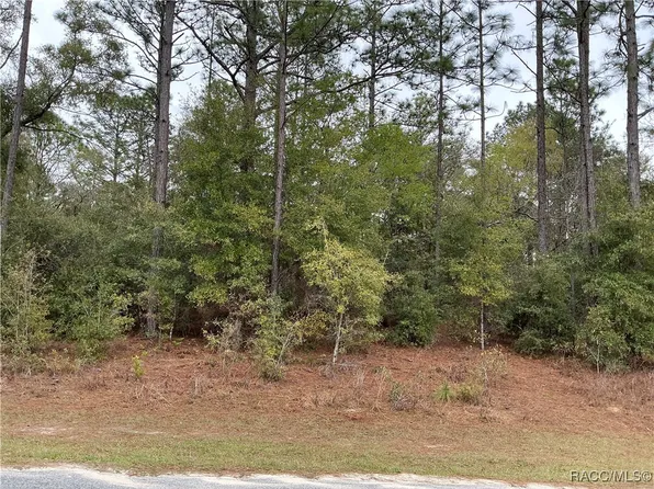 11299 N Bunny Ter, Citrus Springs, FL 34434