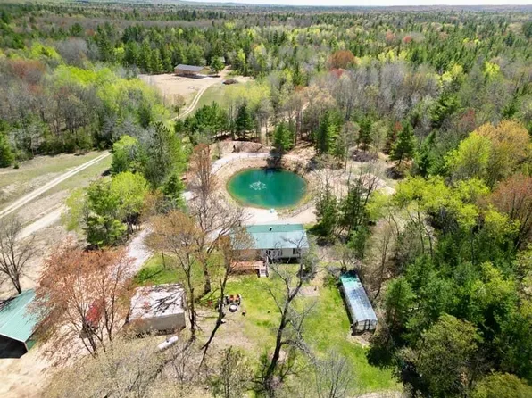 1255 E Chickadee Ln, Luther, MI 49656