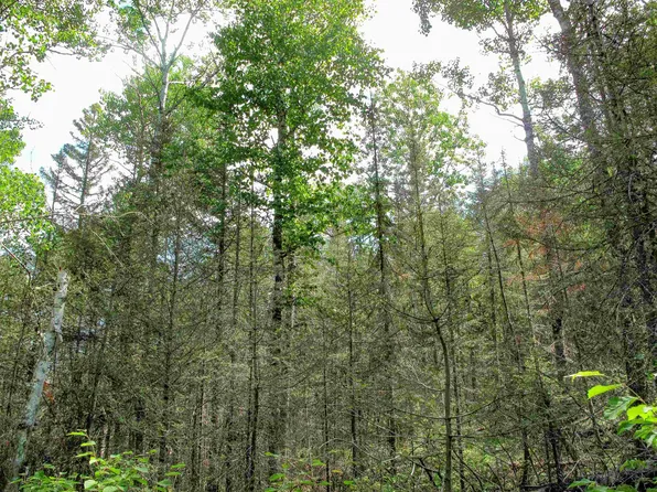 The Grade, Lutsen, MN 55612