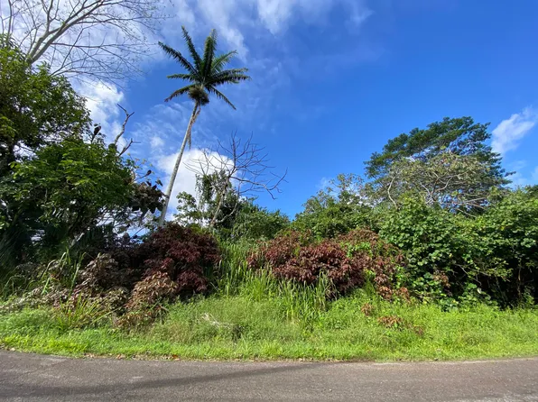 Nenue St Lot 10, Pahoa, HI 96778