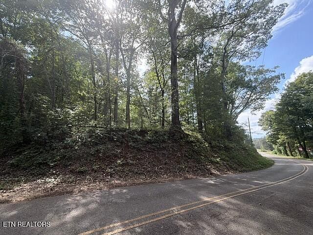 1st image of 0 County Road 446 Lot 1