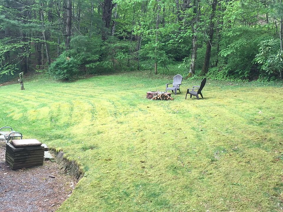 1st image of 33 Big Spruce Ln